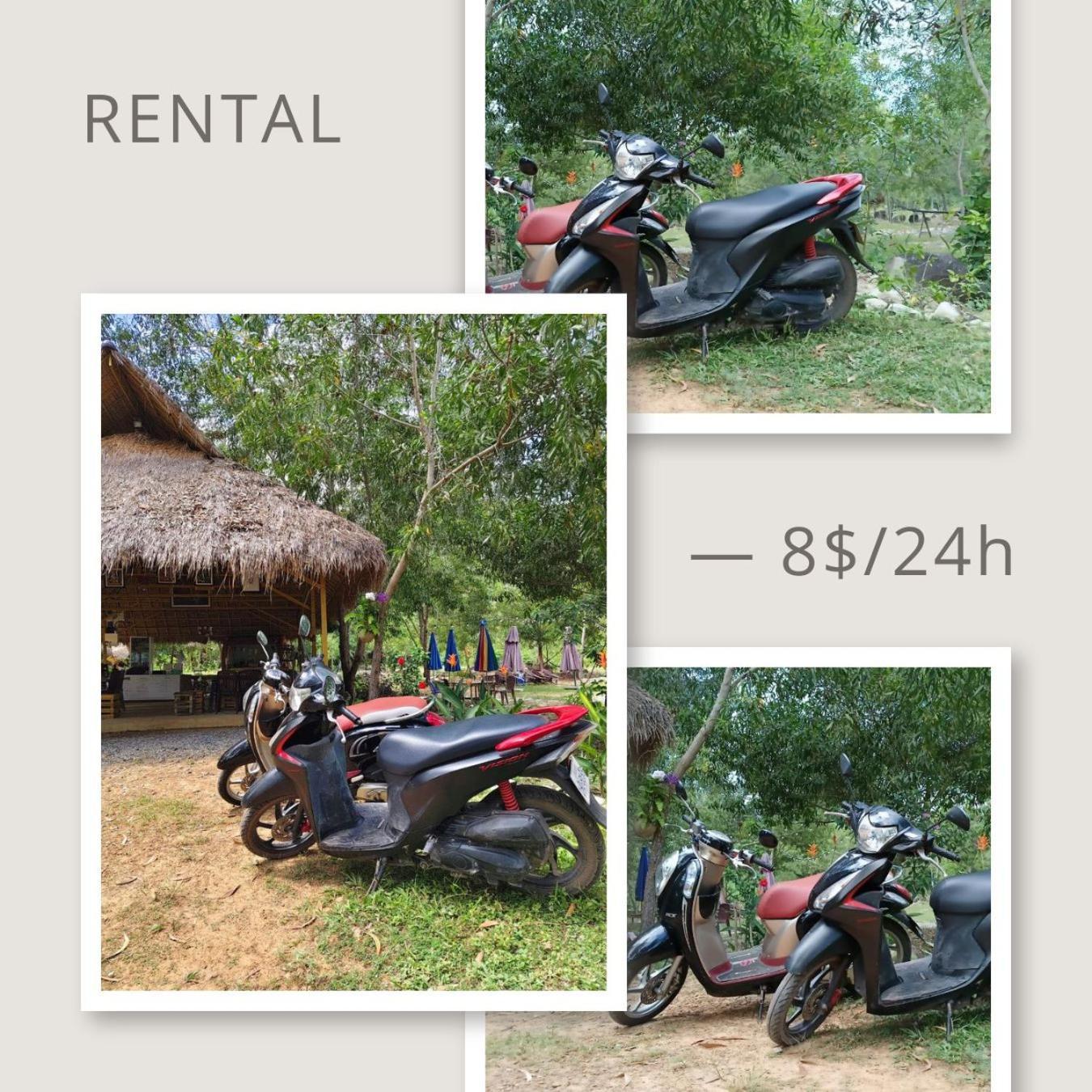 Kampot Camping - Eco Retreat Buitenkant foto